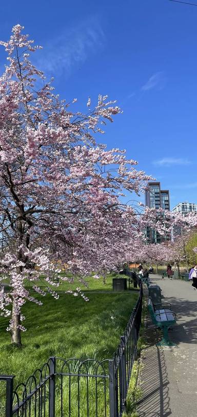 Preview of Wandle & Thames Path Step-free