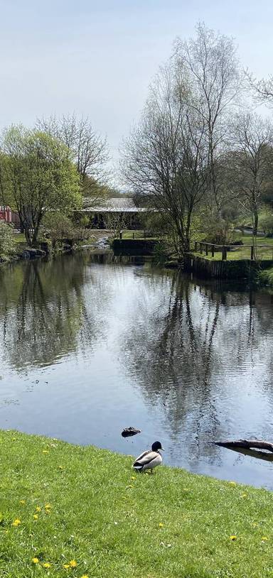 Preview of Mining Heritage Trail