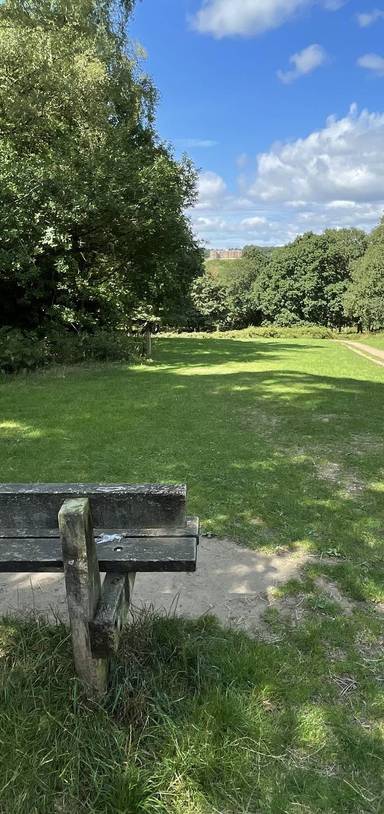 Preview of Shaun the Sheep in Leeds