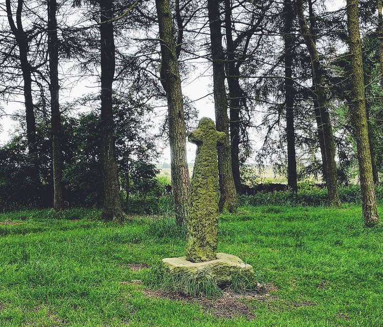 Preview of Ramsley Moor & Shillito Wood