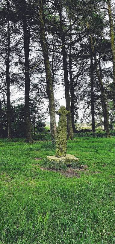 Preview of Ramsley Moor & Shillito Wood