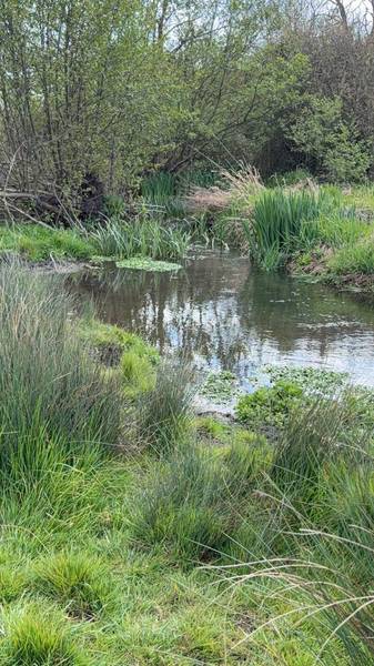 Preview of Outer Hitchin / River Purwell