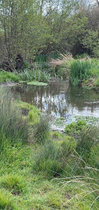 Preview of Outer Hitchin / River Purwell