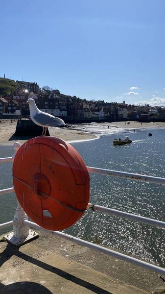 Preview of A wander round Whitby