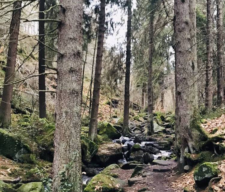 Preview of Wyming Brook