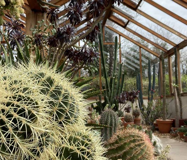 Preview of Walk the Winterbourne House Garden