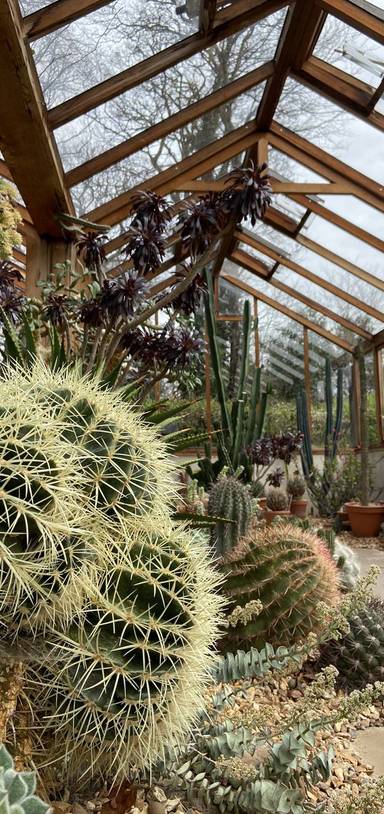 Preview of Walk the Winterbourne House Garden