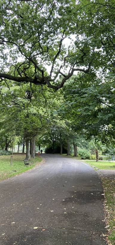 Preview of Parkland Walk - Step Free