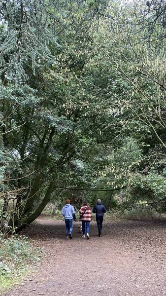 Preview of Nowton Park Nature Trail