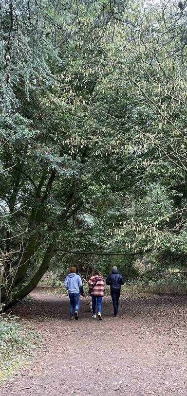 Preview of Nowton Park Nature Trail