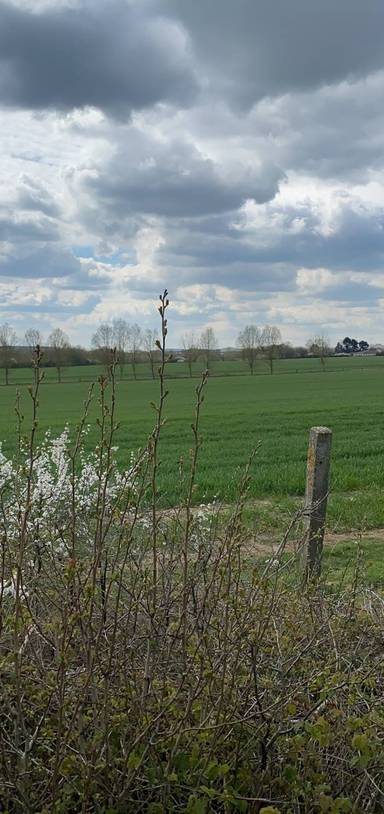 Preview of Flitch Way Path to Rayne Café