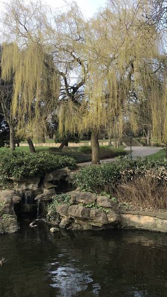 Preview of Lincoln Arboretum Amble