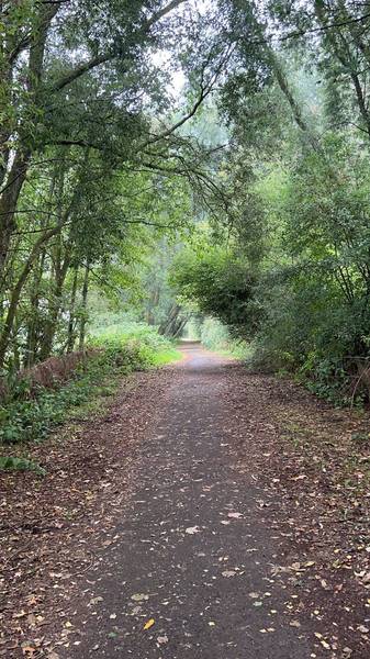 Preview of Kew Woods Adventure 🌳