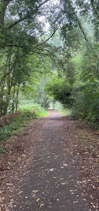 Preview of Kew Woods Adventure 🌳