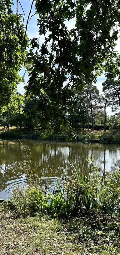 Preview of Take a Lap Around Oakwood Pond