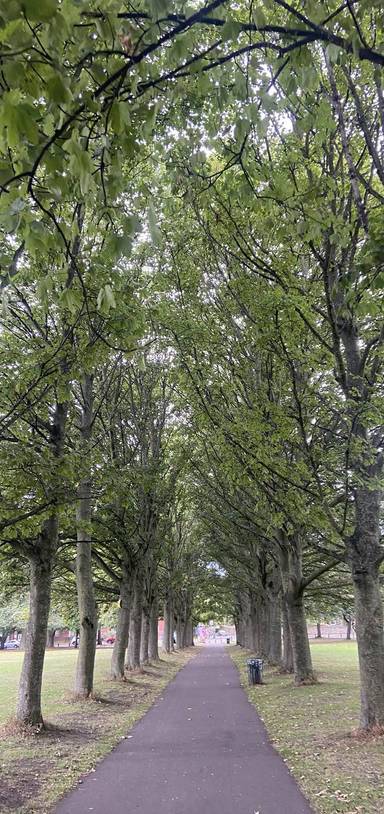 Preview of Woodhouse Moor Loop - Step Free