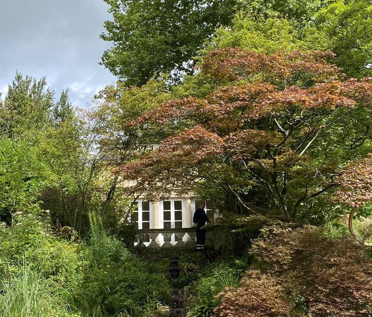 Preview of Botanic Gardens in Bath