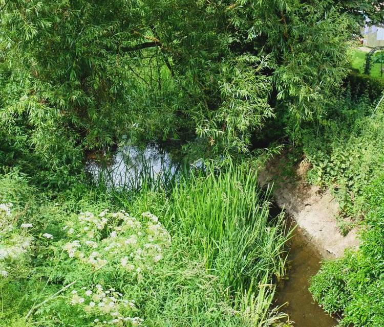 Preview of Discover Ramsey’s Waterway Trail