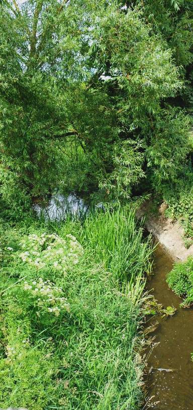 Preview of Discover Ramsey’s Waterway Trail