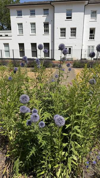 Preview of Erdington & Rookery Park Trail