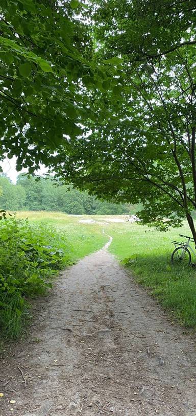 Preview of En vacker promenad i Stockholm