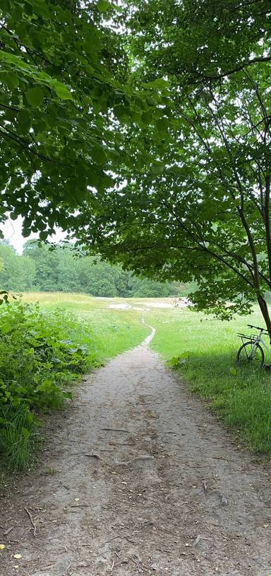 Preview of En vacker promenad i Stockholm 