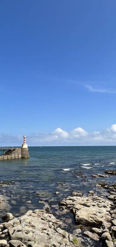 Preview of Amble in Amble - Step Free