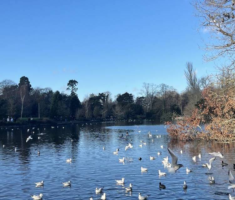 Preview of Kelsey Park & Harvington Wood Loop