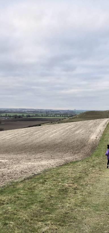 Preview of Pegsdon short circular route1