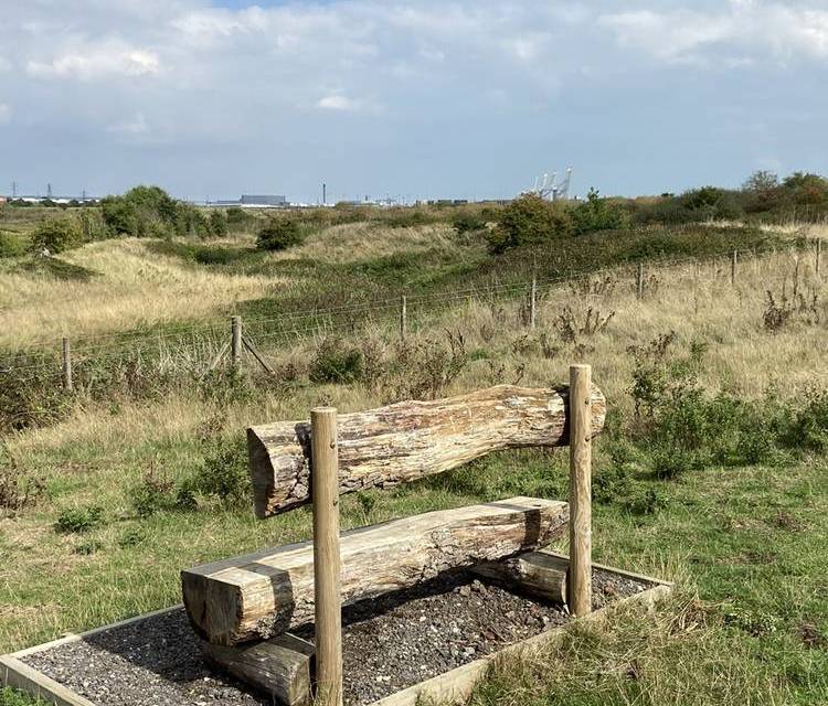 Preview of Thames Estuary Path Section 3
