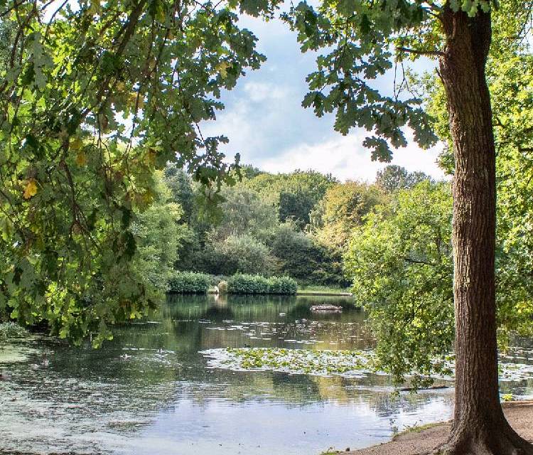 Preview of A quiet day in Wimbledon