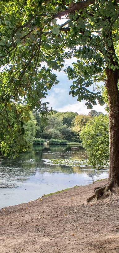 Preview of A quiet day in Wimbledon