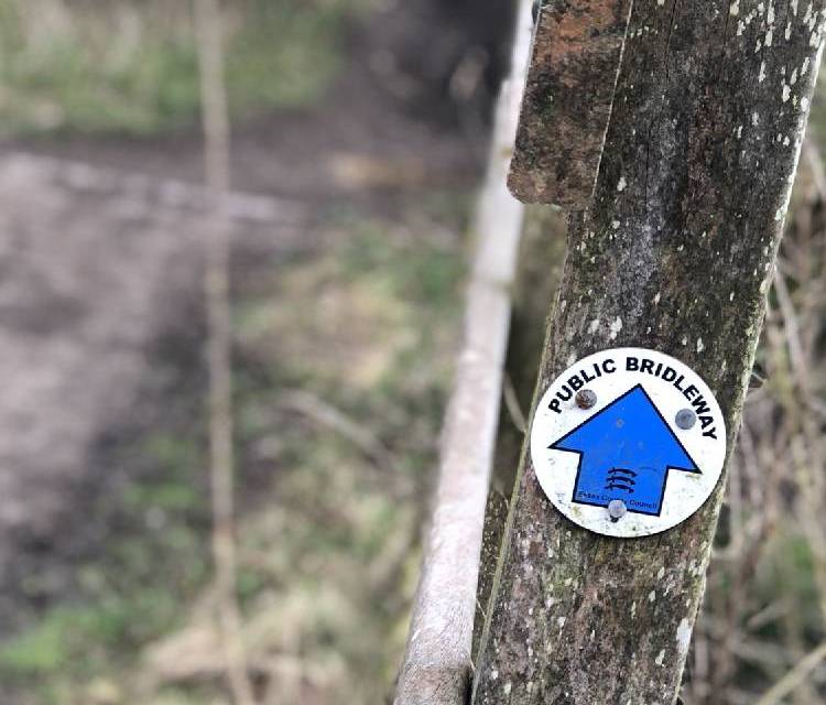 Preview of Gosbecks Park Loop