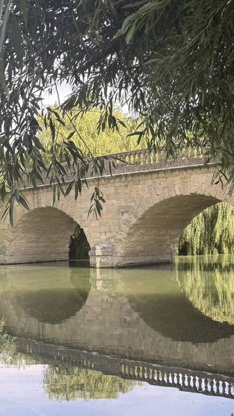 Preview of Swinford to Newbridge Thames Path