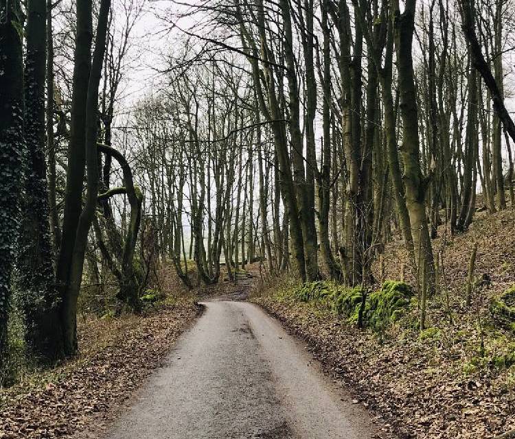 Preview of Country lanes & Longstone Edge