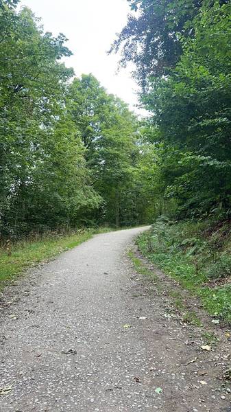 Preview of Guisborough Wellbeing Trail