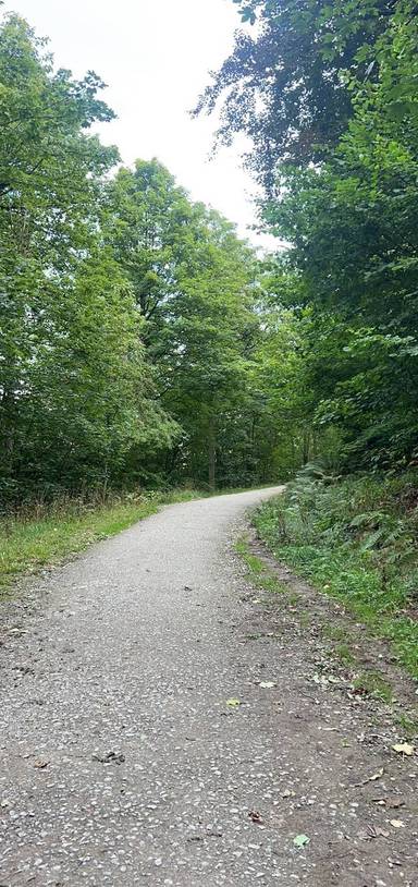 Preview of Guisborough Wellbeing Trail