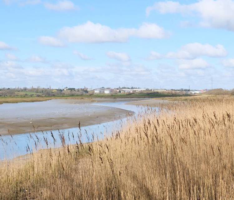 Preview of Wivenhoe Trail (Wivenhoe to Hythe)