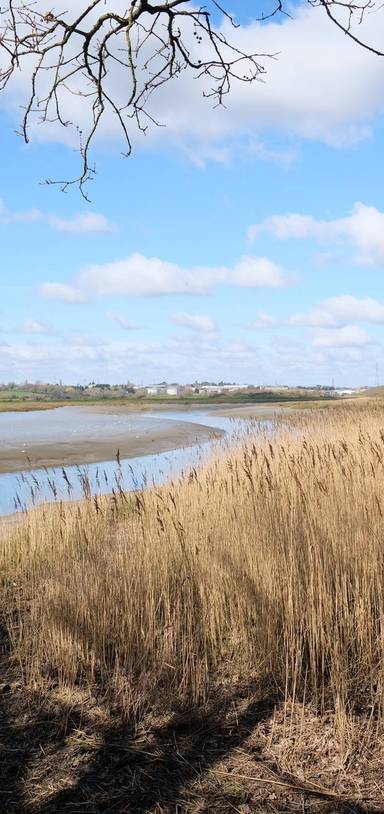 Preview of Wivenhoe Trail (Wivenhoe to Hythe)