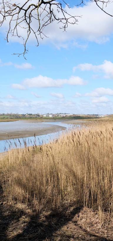 Preview of Wivenhoe Trail (Wivenhoe to Hythe)