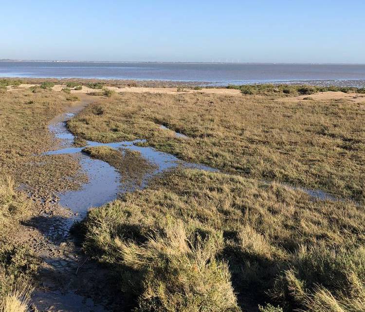 Preview of Bradwell-on-Sea circular