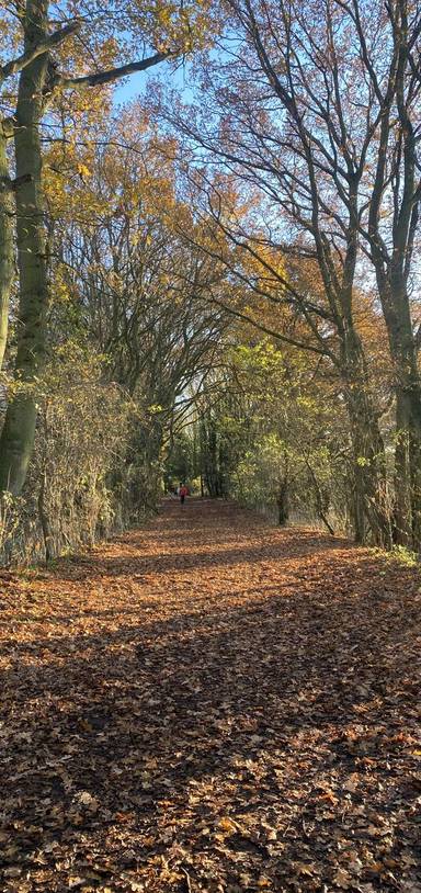 Preview of Sudbury Valley Trail