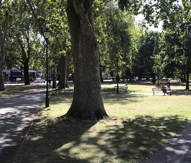 Preview of TfL20 Exploring Ealing