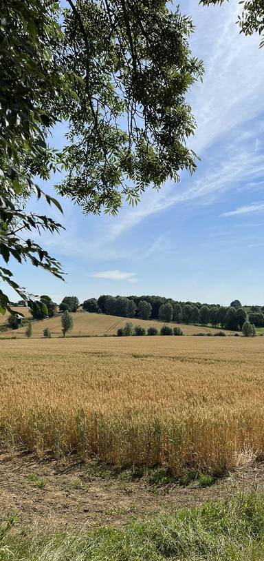 Preview of Deddington Circular Walk