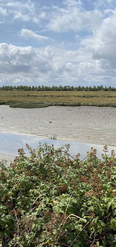 Preview of Thames Estuary Path Section 4