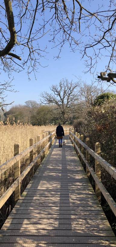 Preview of Tidy Tide Mill & Goatee Beach Fun