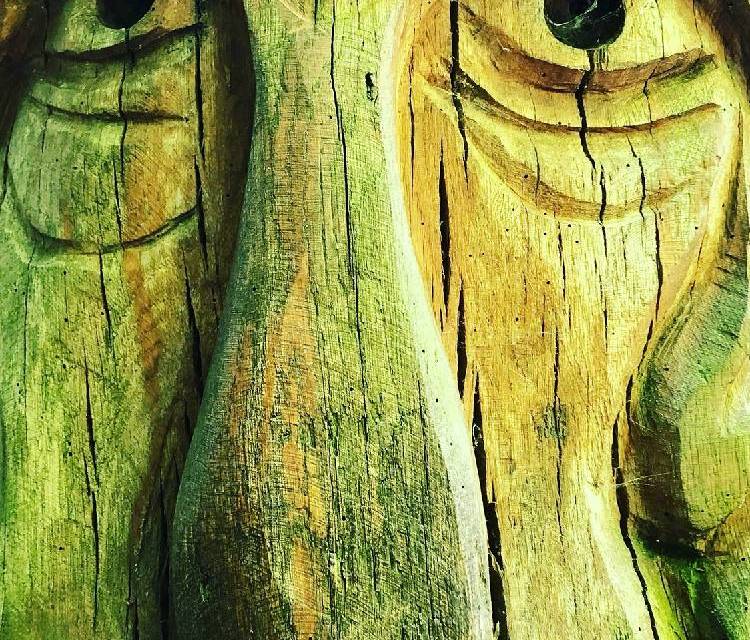 Preview of Marvellous Marvels Woodland walk