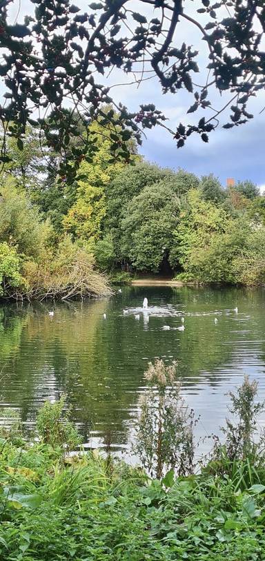 Preview of London Loop Section 7