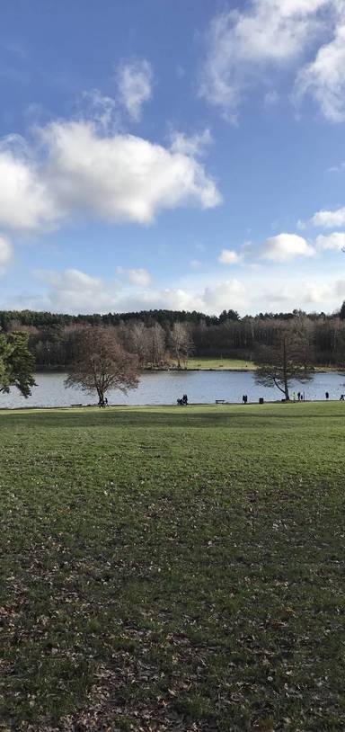 Preview of Great kids day out at Tilgate Park