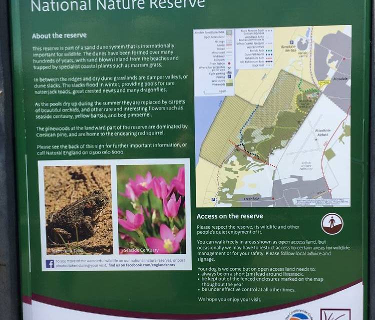 Preview of Woodvale Woods